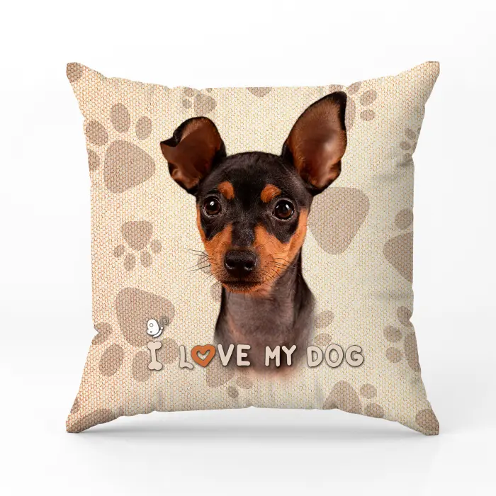 Декоративна възглавница 2308 - 1448 - Декоративна възглавница 2308 - 1448