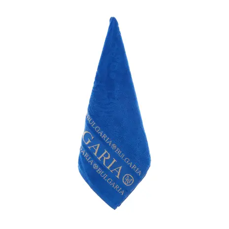 Хавлия MS - парламент - Хавлия MS - парламент